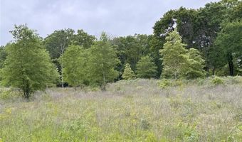 Lot 25 Rains County Road 2610, Alba, TX 75410