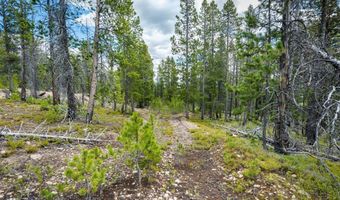 NHN Rosa Trail, Anaconda, MT 59711