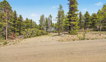 52 Meadowlake Dr, Black Hawk, CO 80422