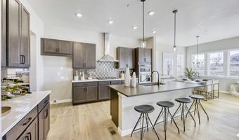 14119 Blue Stem St, Broomfield, CO 80020