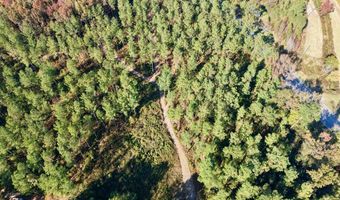 TBD Binnicker Bridge Road, Bamberg, SC 29003