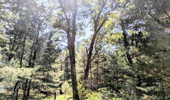 1031 Edgewood Ave, Adams, WI 53910
