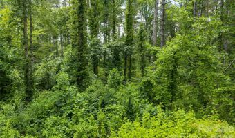 4 Dunnwoody Dr, Arden, NC 28704