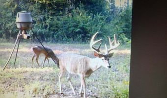 County Road 72, Ariton, AL 36311