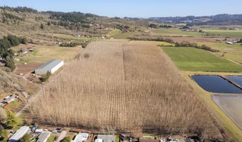 SE Rice Ln, Amity, OR 97101