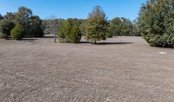 County Road 236 lot 5, Bell, FL 32619