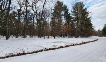L28 And L29 S Badger Lane, Arkdale, WI 54613