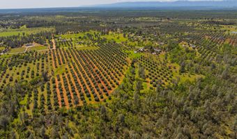 16770 Scout Ave, Anderson, CA 96007