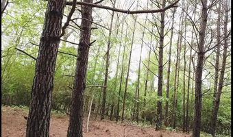 BRUSHY LANE, Arley, AL 35541