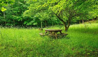 Erdman Road, Arcadia, MI 49660