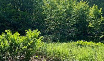 Albin Hill, Bethel, VT 05060