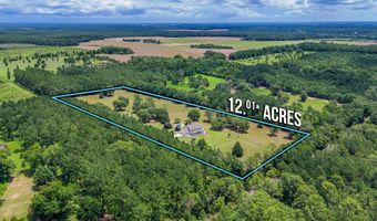 652 Tommy Eiland Rd, Baker, FL 32531