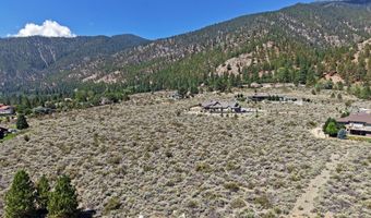 2458 Eagle Ridge Rd 1, Genoa, NV 89411