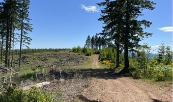 Tunnel Tract Parcel2, Banks, OR 97106