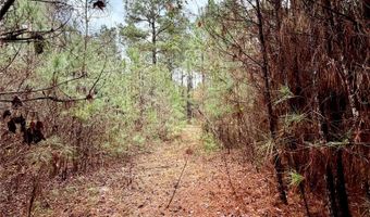 Hicks Road lot 5A, Benton, LA 71006