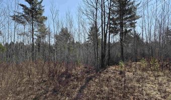 26 Acres Hilltop Kelso, Crystal Falls, MI 49920