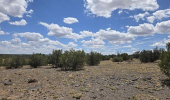 165 Off Old Hwy 66, Ash Fork, AZ 86320