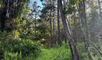 Parcel 3 WARD LINE Road lot Par 3, Bogalusa, LA 70427