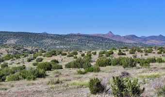 TR 111 Sierra La Rana, Alpine, TX 79830