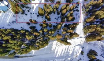 707 CR 674, Breckenridge, CO 80424