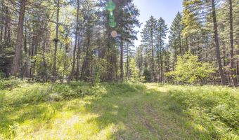 Nhn Red Hawk Drive, Bigfork, MT 59911