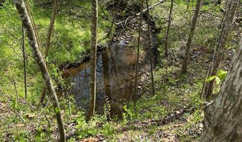 Gladys Road, Altavista, VA 24517