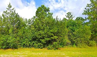 Fairview Road, Alford, FL 32420