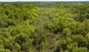 Beech Bluff Road, Beech Bluff, TN 38313