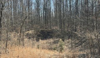 4872 Deer Run Rd, Altamont, TN 37301