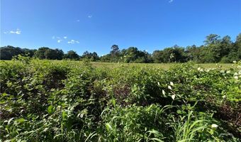Tract 2 Hwy 51S, Homer, GA 30547