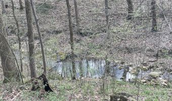 2375 Antioch Church Rd, Alvaton, KY 42122