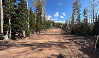 468 E Trail Rd, Brian Head, UT 84719