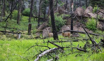 Old Flowers Rd, Bellvue, CO 80512