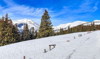 58969 Highway 9 Lot T08, Alma, CO 80420