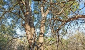 Tbd Fm-1304, Aquilla, TX 76622