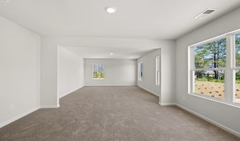 262 VIRGIL St, Dallas, GA 30132