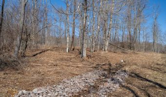 7985 ROCK LODGE Rd, Accident, MD 21520