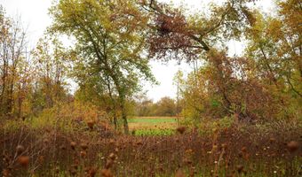 Lot 2 county AS Rd, Adell, WI 53001