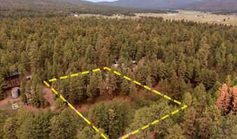 11 Whitetail Rd, Alpine, AZ 85920