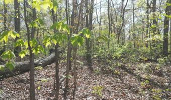000 Plainview Rd, Anderson, MO 64831