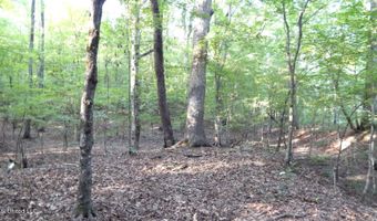 590 247 Country Rd, Bruce, MS 38915