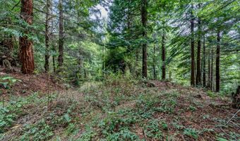 E 16th Street, Arcata, CA 95521