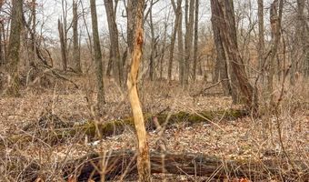 0 Highway C, Albany, MO 64402