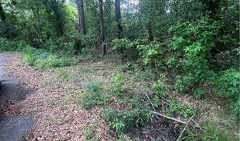 Lot 1 NOLA Lane, Bogalusa, LA 70427