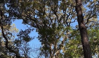 2 Gray Fox Ct Lot 449, Bald Head Island, NC 28461
