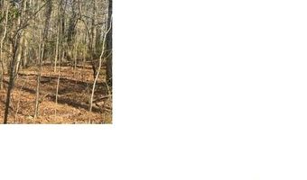 SATURN DRIVE lot 45, Alpine, AL 35014