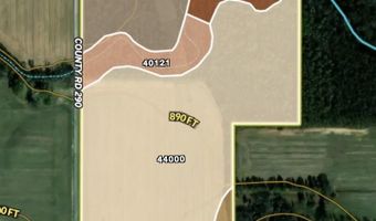 0002 CR-290, Asbury, MO 64832