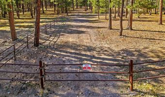 25319 US Hwy 191, Alpine, AZ 85920