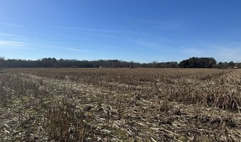 0 Bivalve Lodge Rd, Bivalve, MD 21814