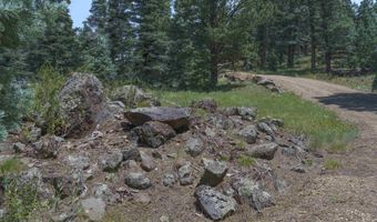 9 Buckskin Rd, Angel Fire, NM 87710